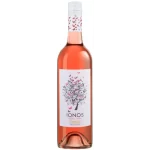 Cavino Ionos rose